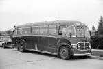 Maudslay Marathon III Plaxton Venturer 1950 года (UK)